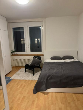 Flat in Zurich
